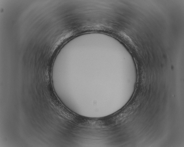 X0000087331218200705181028