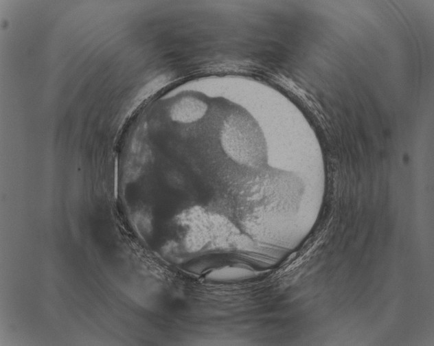 X0000087331219200705181028