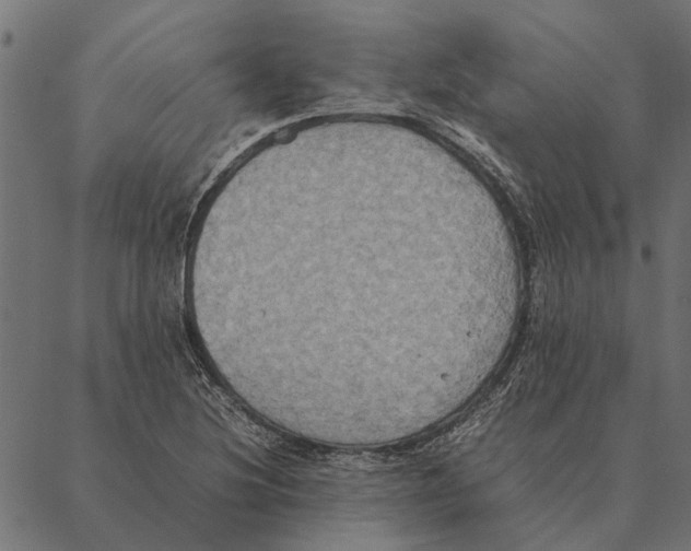 X0000087331220200705181028