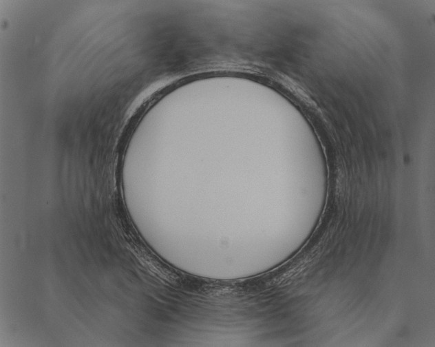 X0000087331222200705181028