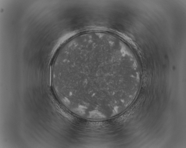 X0000087331223200705181028