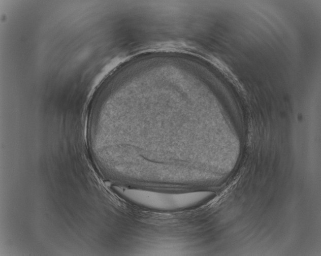 X0000087331224200705181028