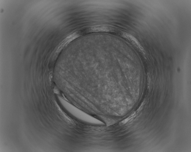 X0000087331225200705181028