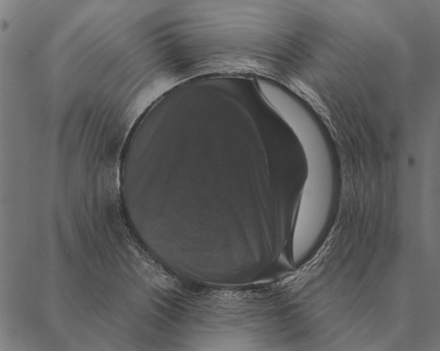 X0000087331226200705181028