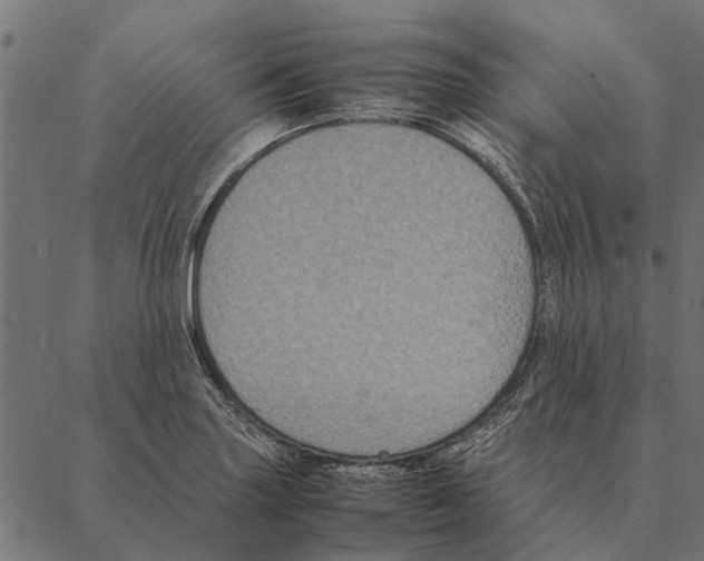 X0000087331227200705181028