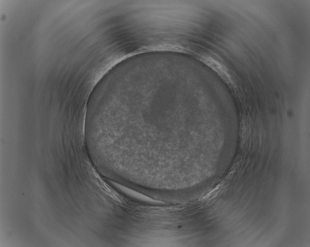 X0000087331228200705181028