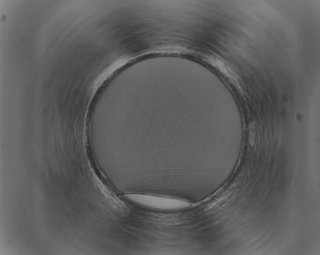 X0000087331229200705181028