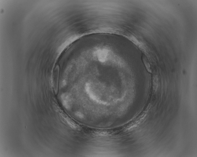 X0000087331230200705181028