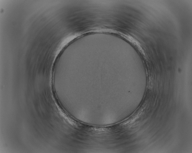 X0000087331231200705181028