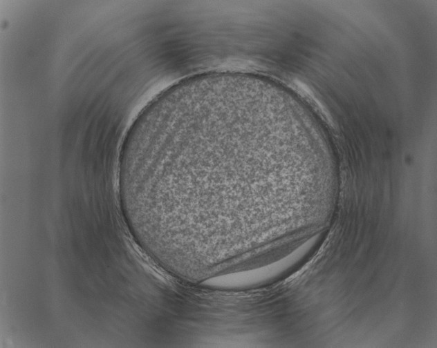 X0000087331232200705181028