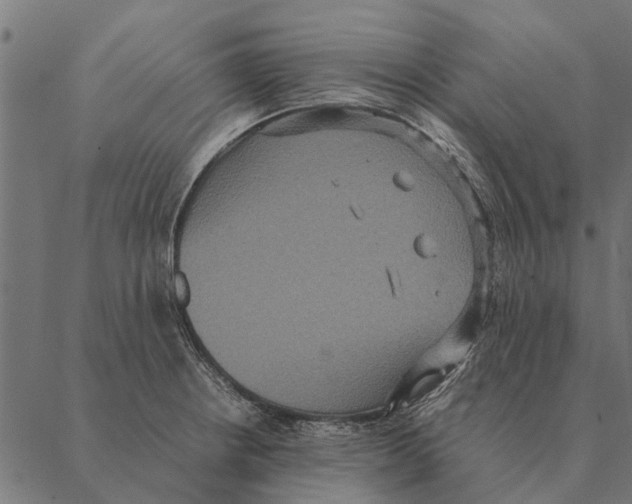 X0000087331234200705181028