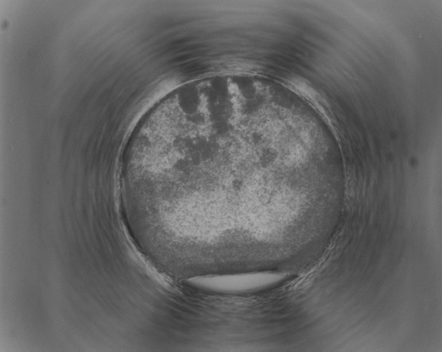 X0000087331235200705181028