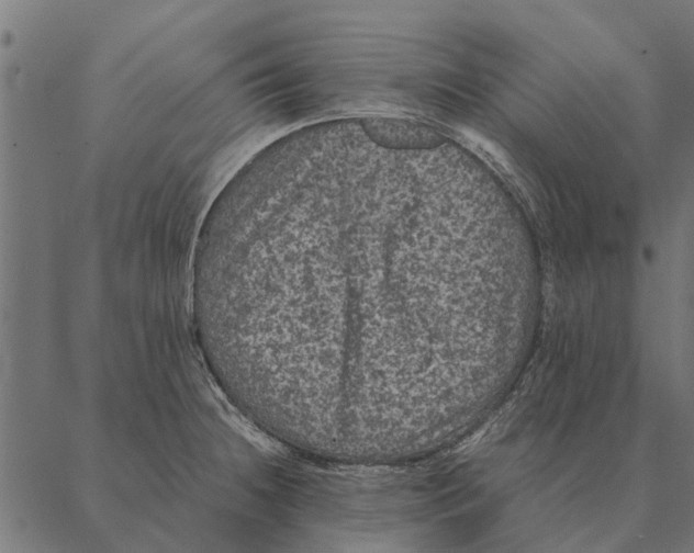 X0000087331236200705181028