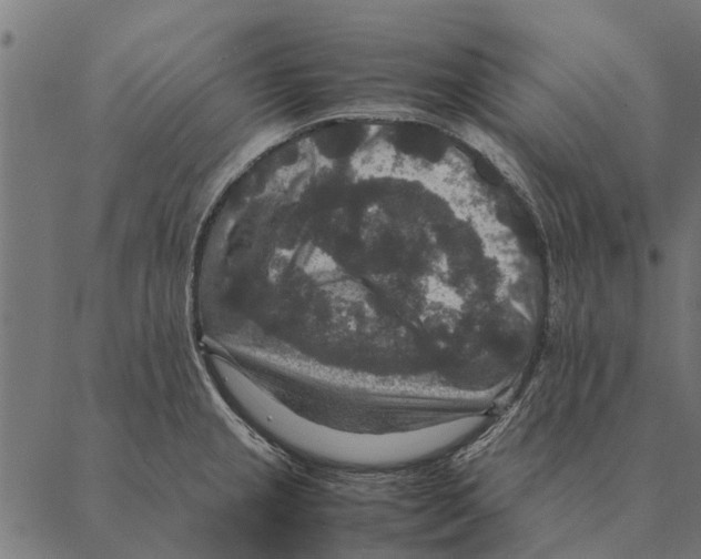 X0000087331237200705181028