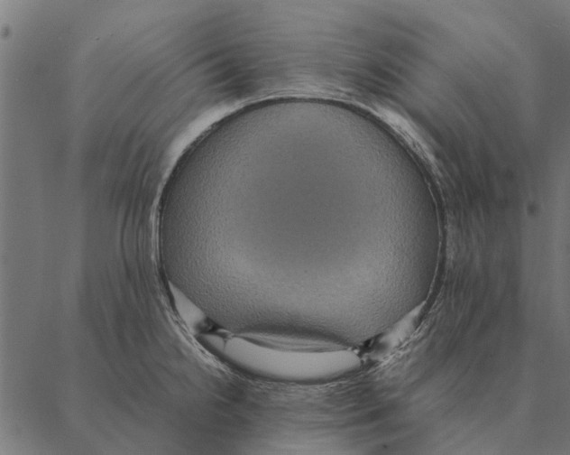 X0000087331238200705181028