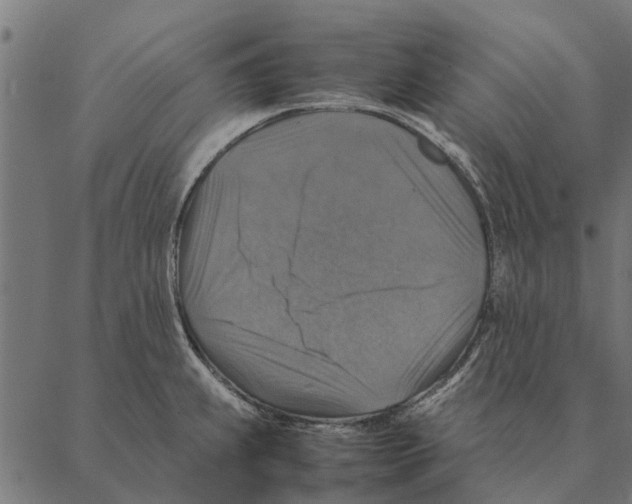 X0000087331239200705181028