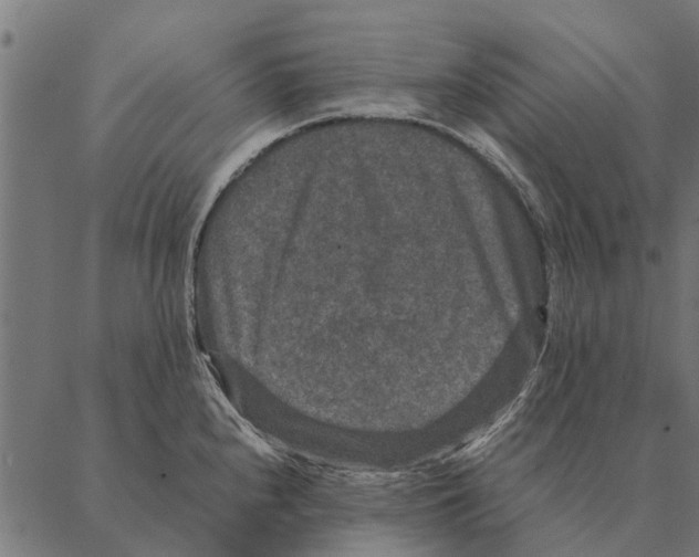 X0000087331240200705181028