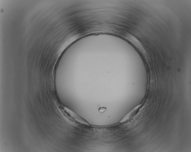 X0000087331242200705181028