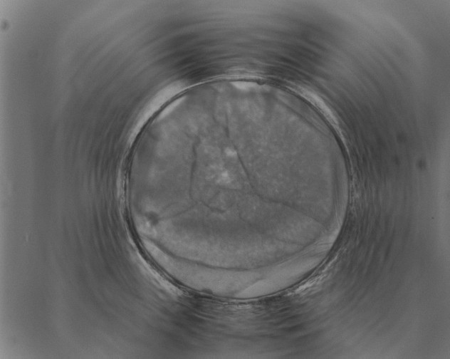 X0000087331243200705181028