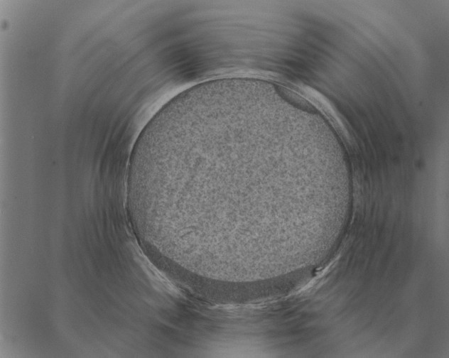 X0000087331244200705181028