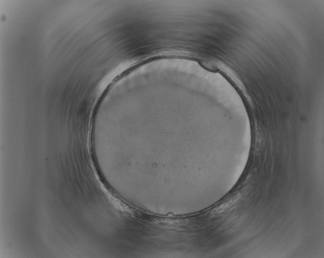 X0000087331245200705181028