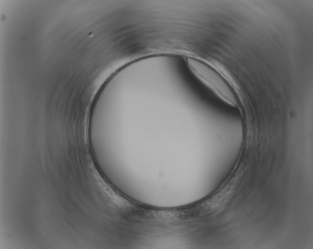 X0000087331246200705181028