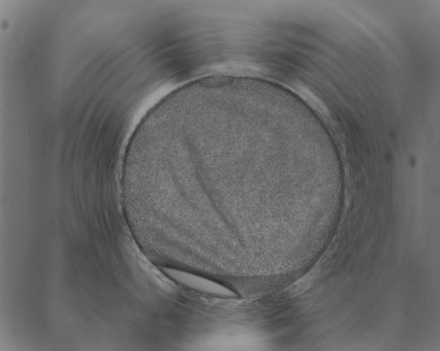 X0000087331248200705181028