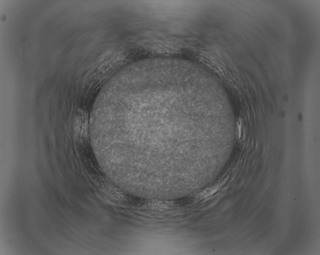 X0000087331251200705181027