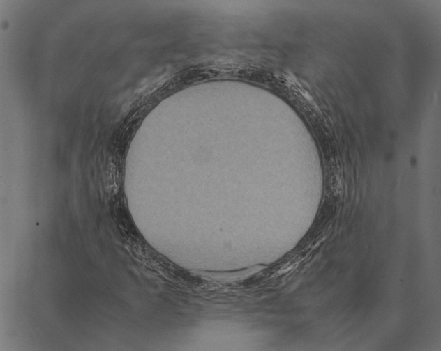 X0000087331253200705181027