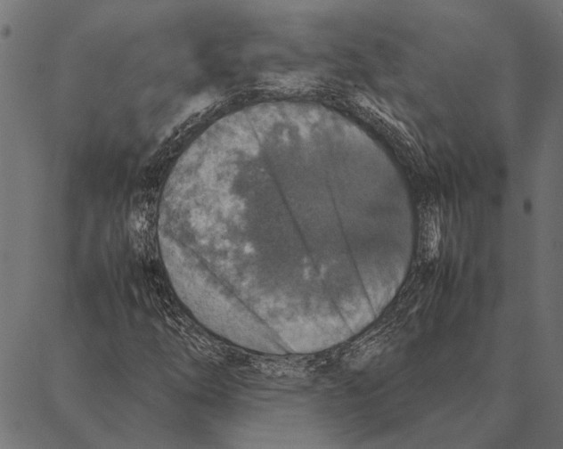 X0000087331254200705181027