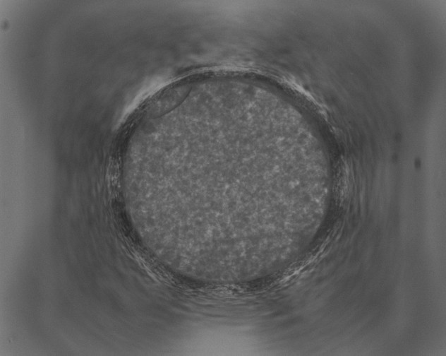 X0000087331255200705181027