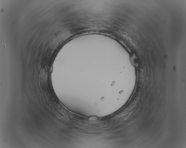 X0000087331257200705181027