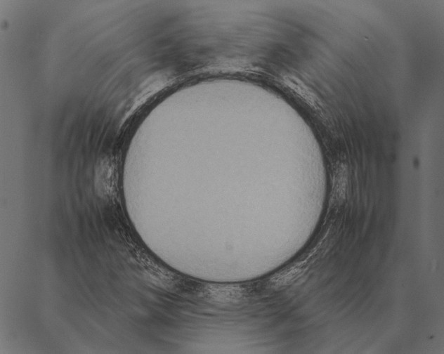 X0000087331258200705181027