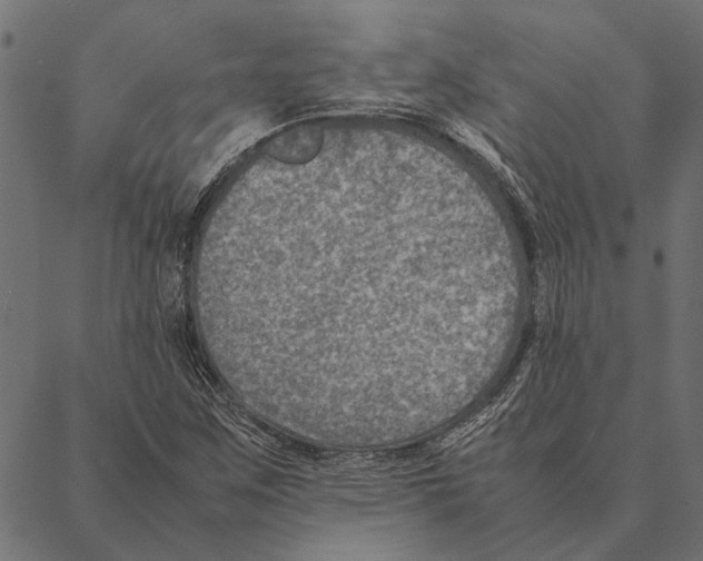 X0000087331259200705181027