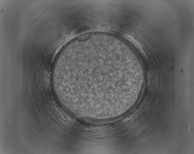 X0000087331260200705181027