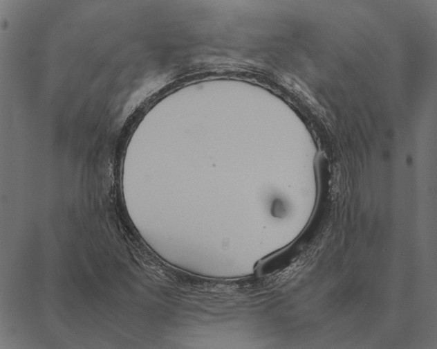 X0000087331261200705181027