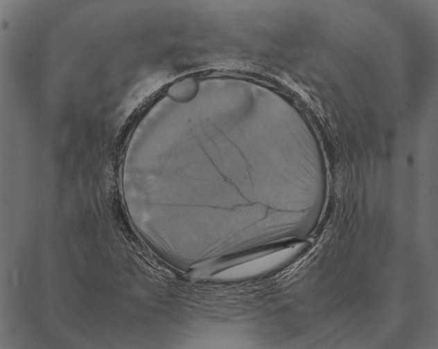 X0000087331263200705181027