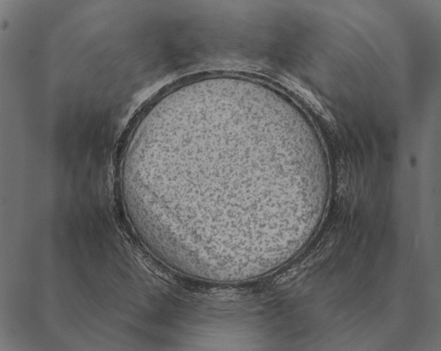 X0000087331264200705181027