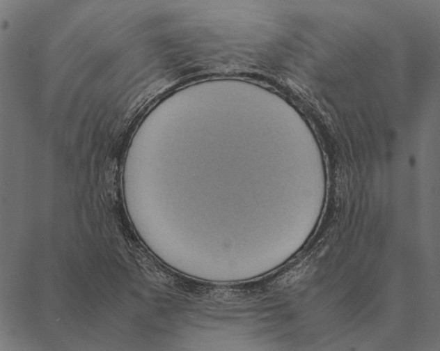 X0000087331265200705181027