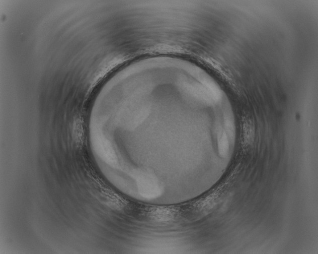 X0000087331266200705181027