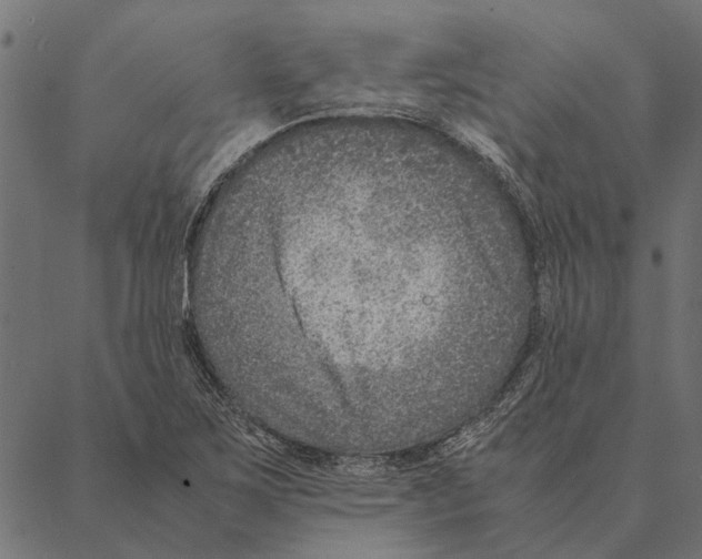 X0000087331267200705181027