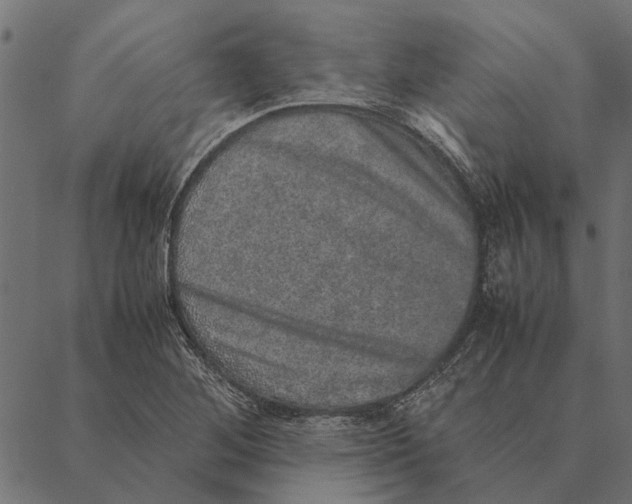 X0000087331268200705181027