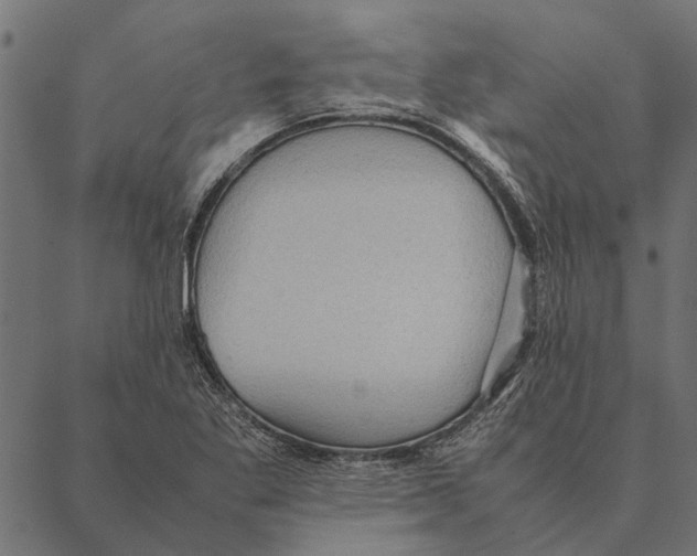 X0000087331269200705181027