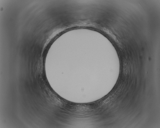 X0000087331270200705181027