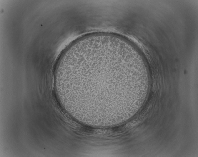 X0000087331271200705181027