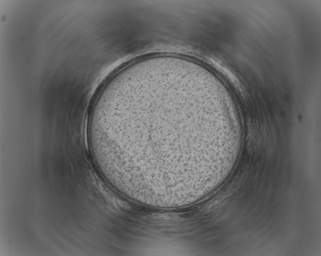 X0000087331272200705181027