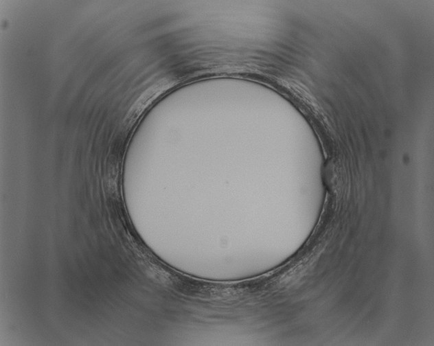 X0000087331273200705181027