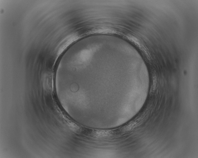 X0000087331274200705181027