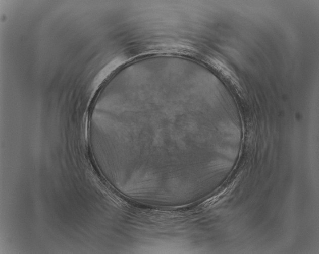 X0000087331275200705181027