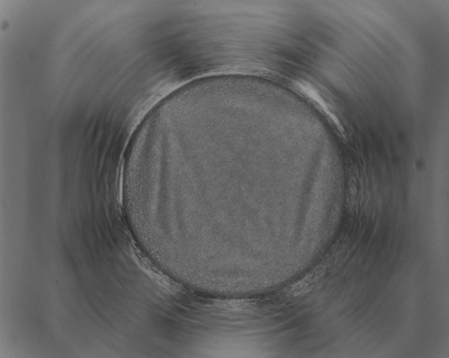 X0000087331276200705181027